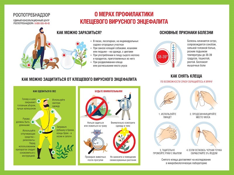 Управление Роспотребнадзора по Псковской области информирует о проведении «горячей линии» по вопросам профилактики инфекций, передающихся клещами (вирусного клещевого энцефалита и клещевого боррелиоза) с 27 апреля по 10 мая 2026 года..
